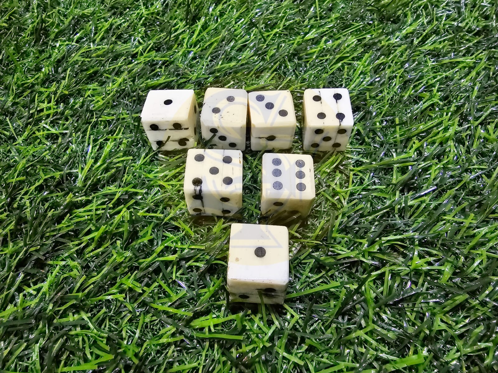 Ludo Bone Dice